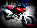 Suzuki XF 650 Freewind 1999 3 motorbike A4 Photo Print