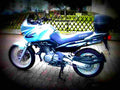 Suzuki XF 650 Freewind 2001 2 motorbike A4 Photo Print