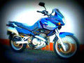 Suzuki XF 650 Freewind 2001 5 motorbike A4 Photo Print