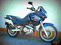 Suzuki XF 650 Freewind 2001 6 motorbike A4 Photo Print
