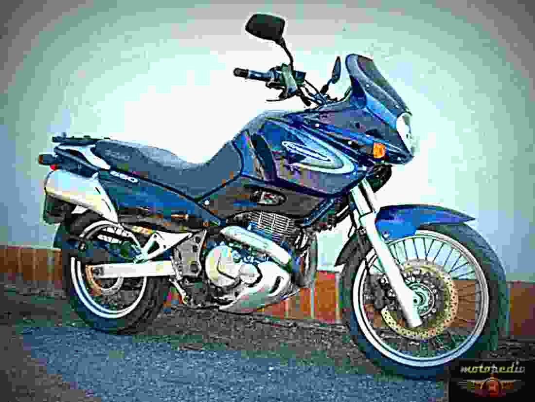 Suzuki XF 650 Freewind 2001 6 motorbike A4 Photo Print