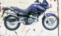 Suzuki XF650 Freewind 2001 Aged Vintage A4 Photo Print