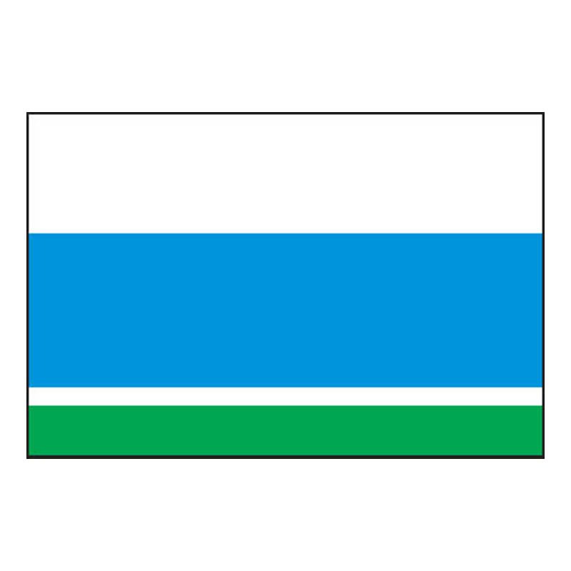 Sverdlovsk2005 Obl Flag N6250 A4 Photo Print