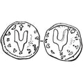 Svyatoslav Seal N715 A4 Photo Print