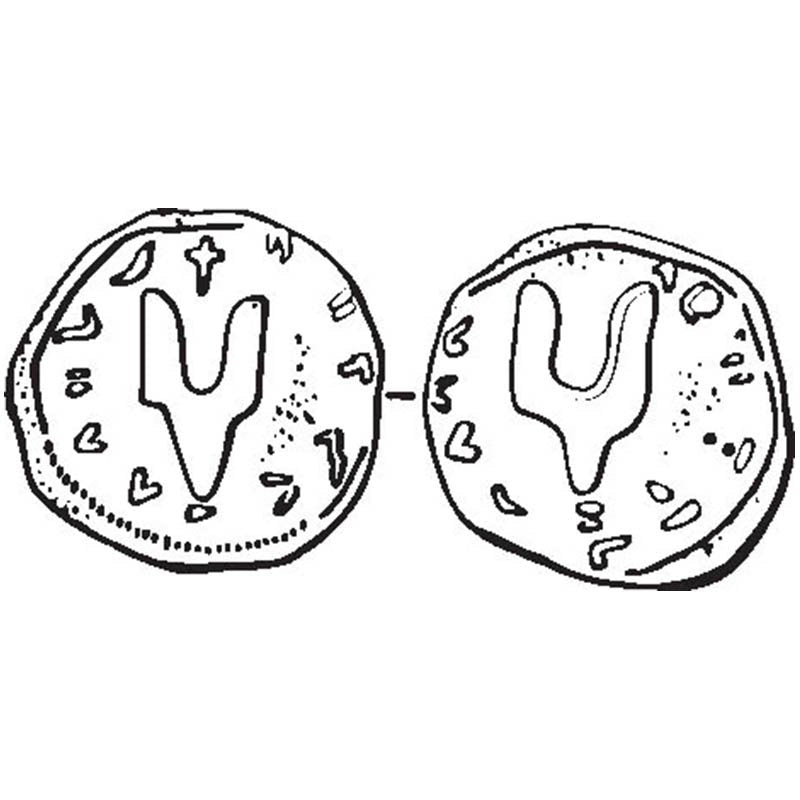 Svyatoslav Seal N715 A4 Photo Print
