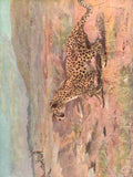 Swan Cuthbert E 1870 1931 Wild beasts of the World 1909 Cheetah A4 Photo Print
