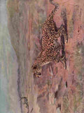 Swan Cuthbert Wild beasts World 1909 Cheetah A4 Photo Print