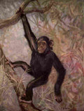 Swan Cuthbert Wild beasts World 1909 Chimpanzees A4 Photo Print