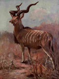 Swan Cuthbert Wild beasts World 1909 Koodoo A4 Photo Print