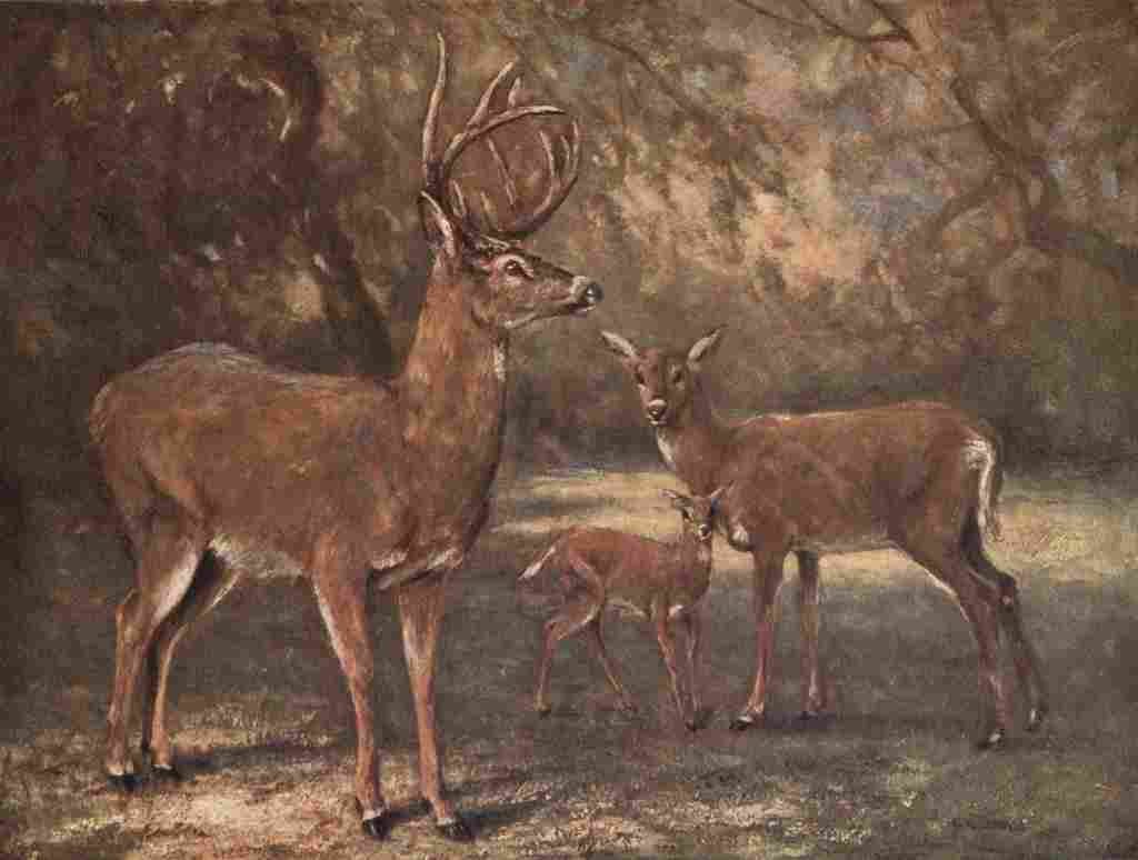 Swan Cuthbert Wild beasts World 1909 Virginian Deer A4 Photo Print