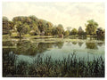 Swanbourne Lake Arundel Castle Vintage A4 Photo Print
