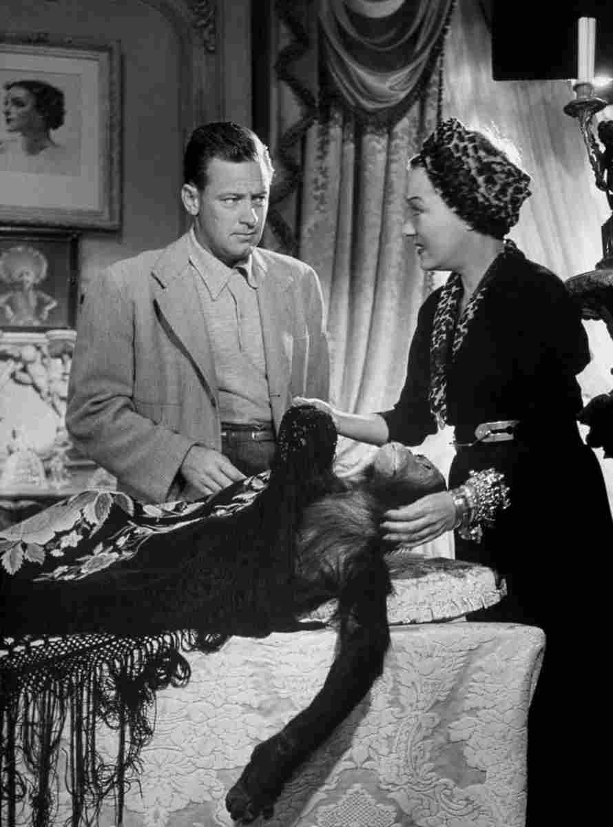Swanson Gloria Sunset Boulevard z11 film star poster A4 Photo Print