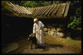 Sweden 201059 Tending A Goat In A Skansen Farmyard A4 Photo Print
