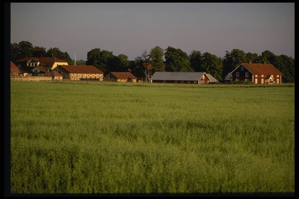 Sweden 201083 Smaland Farm And Horse Ranch A4 Photo Print