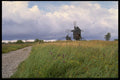 Sweden 201085 Oland Island Windmills, Smaland, Sweden A4 Photo Print