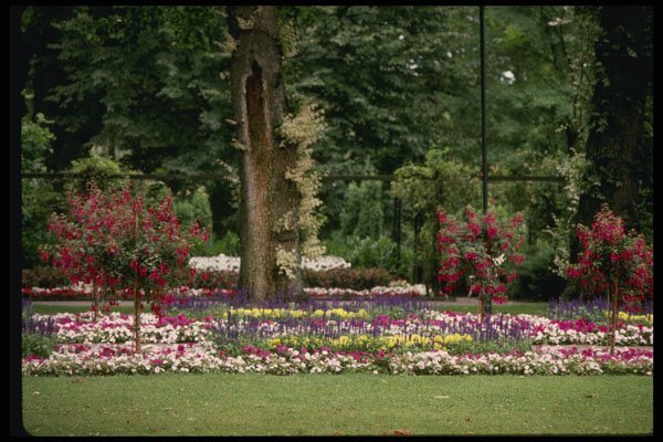 Sweden 201087 Vaxjo City Park, Smaland A4 Photo Print