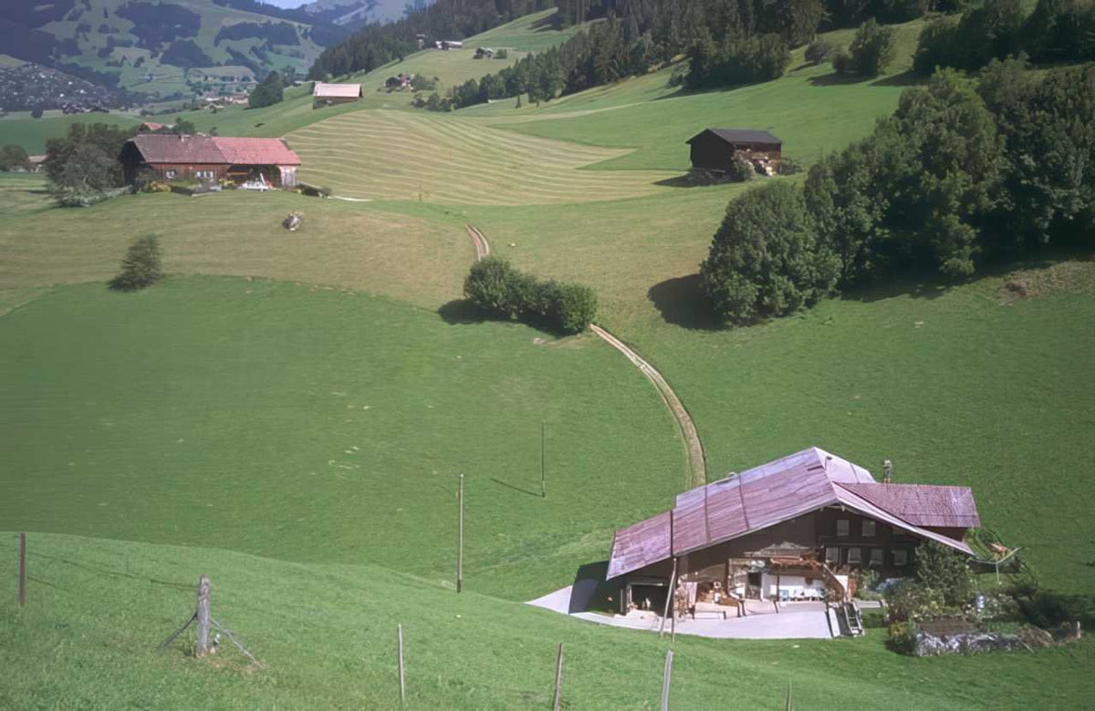 Switzerland Alpine Farmhouse Pasture A4 Photo Print