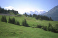 Switzerland Alpine Meadow Switzerland A4 Photo Print