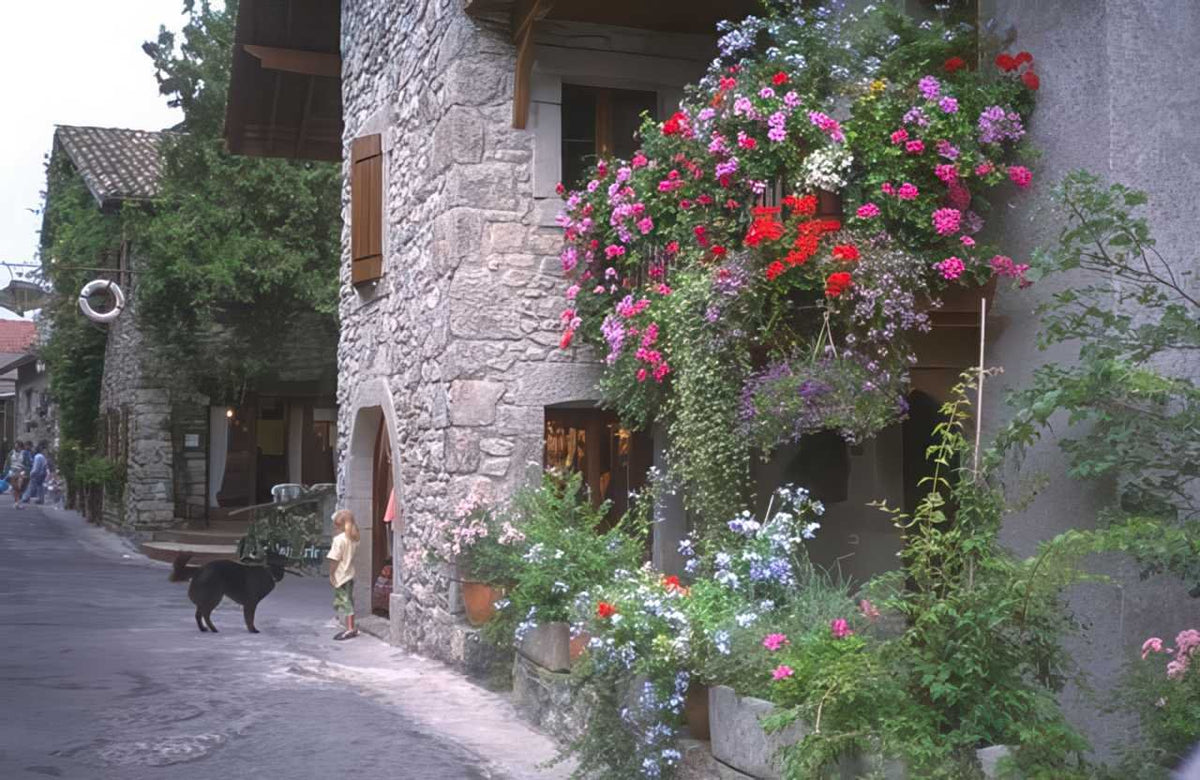 Switzerland Provence Village Street A4 Photo Print