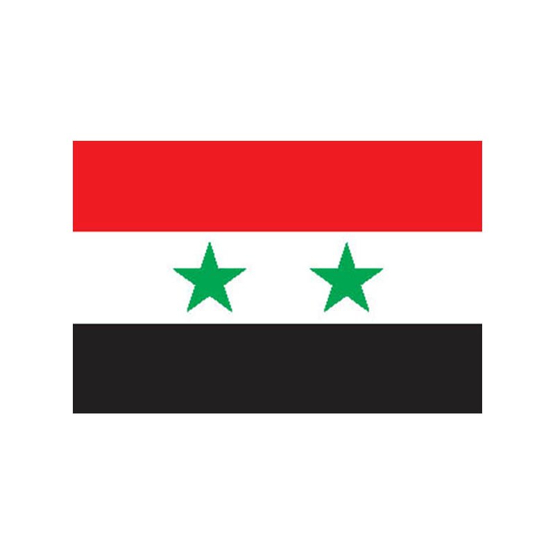 Syria Flag N1720 A4 Photo Print