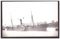 Syrian Prince 1893 Prince Line Steam ship A4 Photo Print