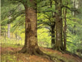 T C Steele beech trees 1895 Art A4 Photo Print