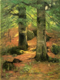 T C Steele vernon beeches 1892 Art A4 Photo Print