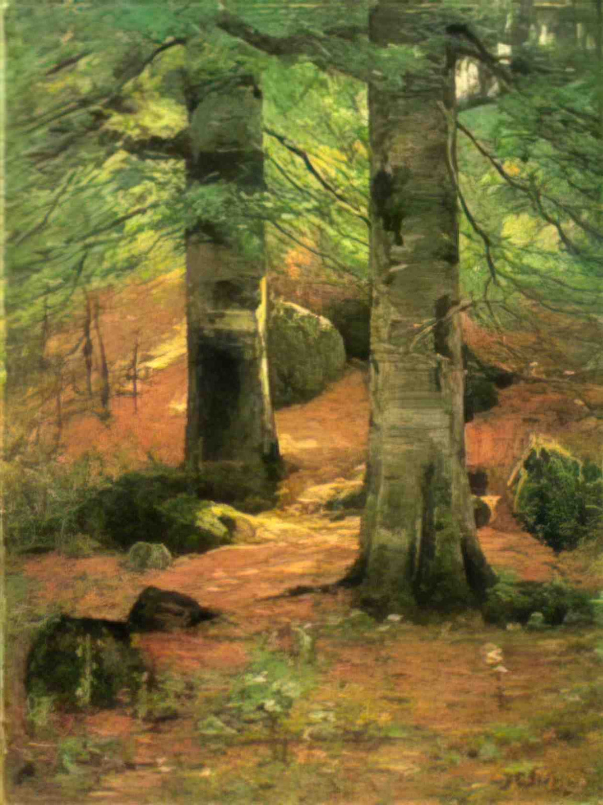 T C Steele vernon beeches 1892 Art A4 Photo Print