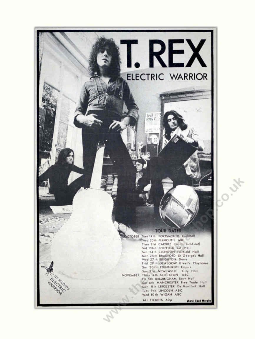 T Rex Electric Vintage Retro Advert Poster A4 Photo Print