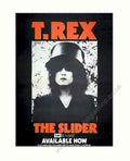 T Rex Slider Vintage Retro Advert Poster A4 Photo Print