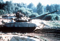 T80 4 A4 Photo Print