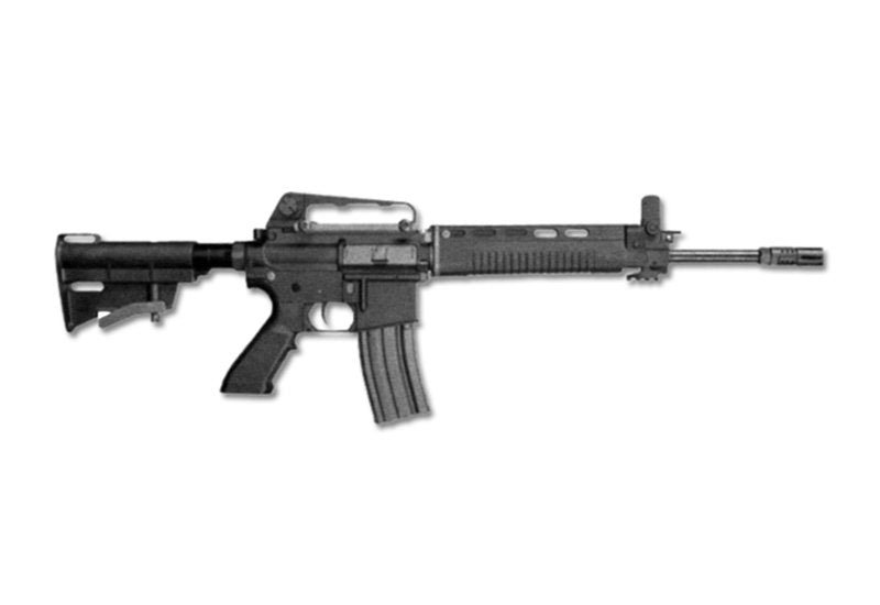 T91 Assault Rifle A4 Photo Print