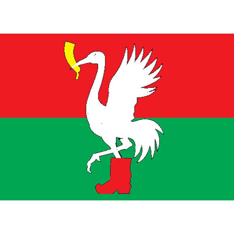 Taldom City Flag N3073 A4 Photo Print