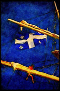 Tall Sail Boats Ship 257038 Rigging The Belle Blonde, Canada A4 Limited Edition Watercolour Print
