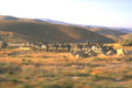 Tanks Warning Convoy A4 Photo Print