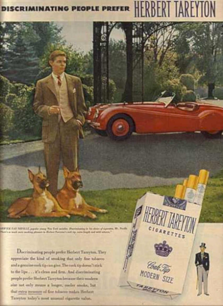 Tareyton Classic Dogs Vintage Retro Advert Ads A4 Photo Print