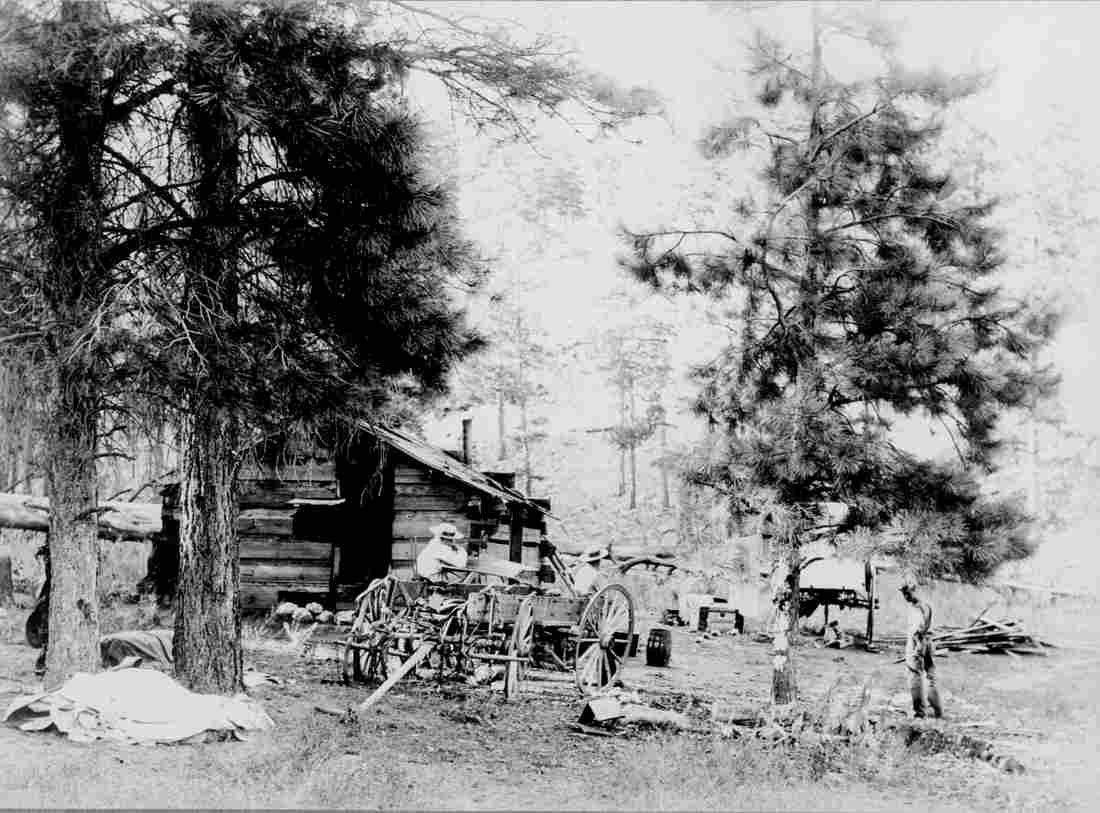 Target shooting in Arizona John Doyles ranch ca 1887 89 Military A4 Photo Print