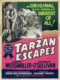  Tarzan Escapes 06 film star poster A4 Photo Print