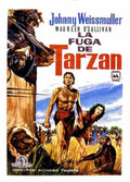  Tarzan Escapes 19 film star poster A4 Photo Print