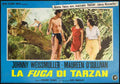  Tarzan Escapes 23 film star poster A4 Photo Print