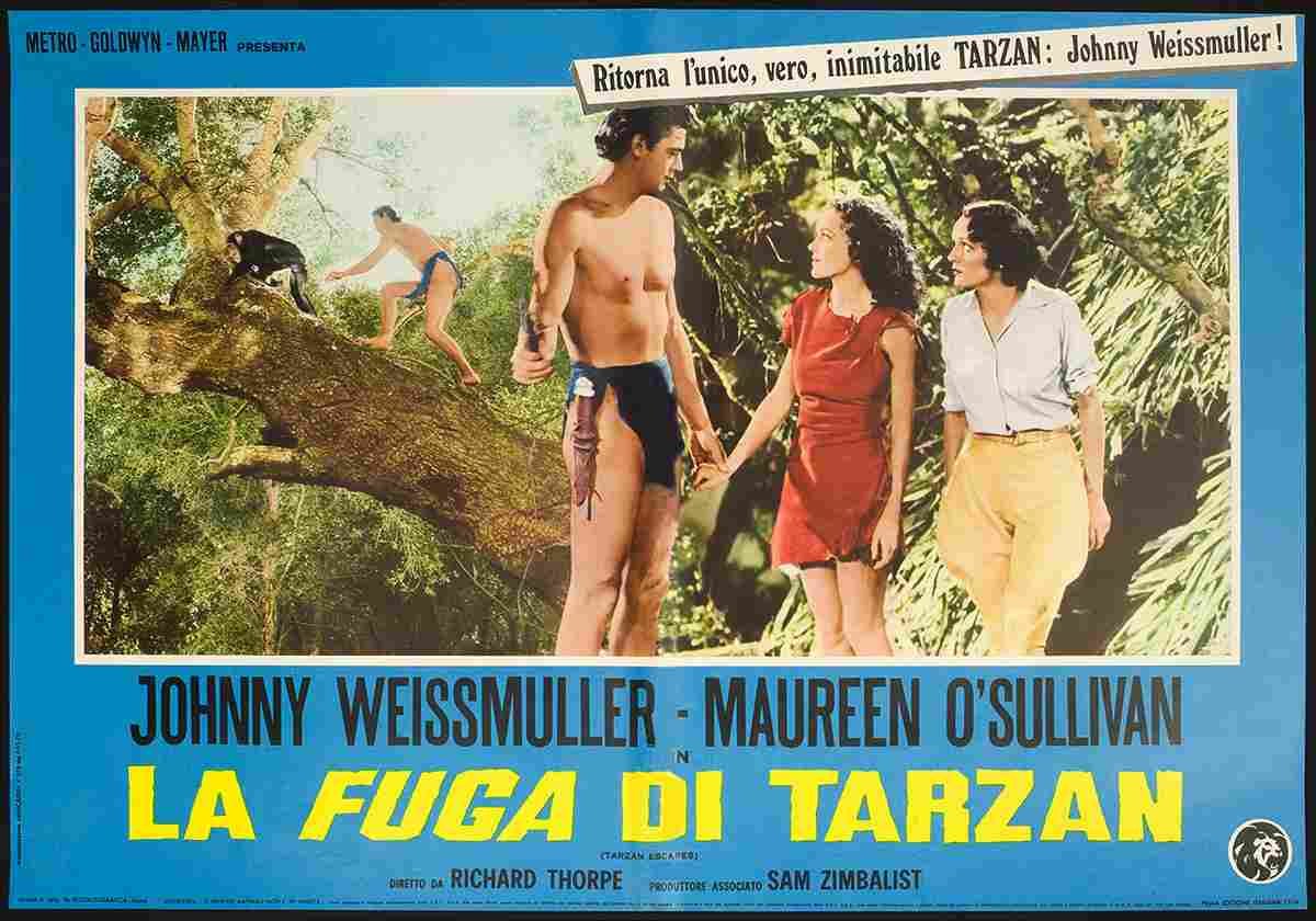  Tarzan Escapes 23 film star poster A4 Photo Print