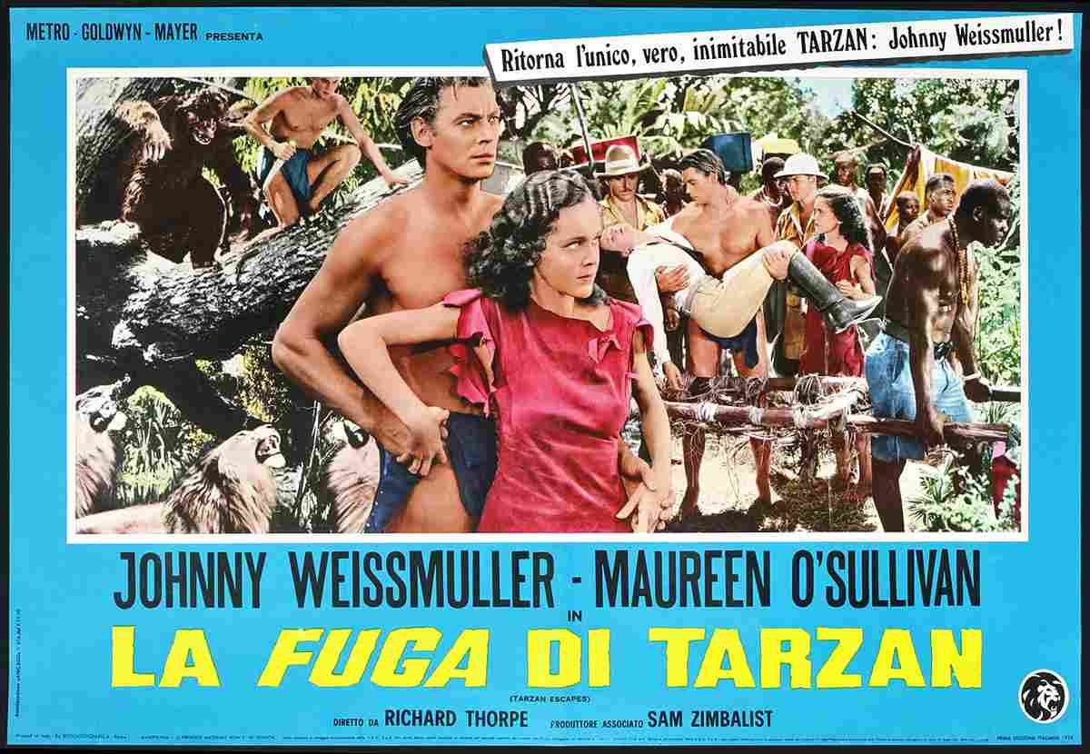  Tarzan Escapes 24 film star poster A4 Photo Print