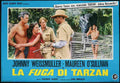  Tarzan Escapes 25 film star poster A4 Photo Print