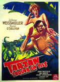  Tarzan Finds a Son 07 film star poster A4 Photo Print
