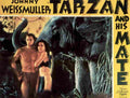  Tarzan and His Mate 02 film star poster A4 Photo Print
