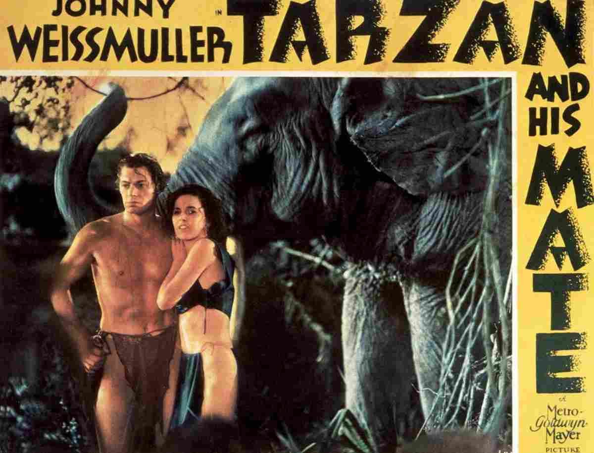  Tarzan and His Mate 02 film star poster A4 Photo Print
