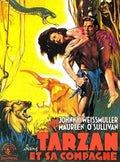  Tarzan and His Mate 06 film star poster A4 Photo Print