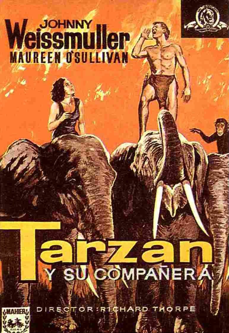  Tarzan and His Mate 10 film star poster A4 Photo Print