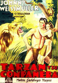  Tarzan and His Mate 11 film star poster A4 Photo Print