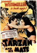  Tarzan and His Mate 17 film star poster A4 Photo Print